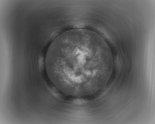 X0000113290598200910051102