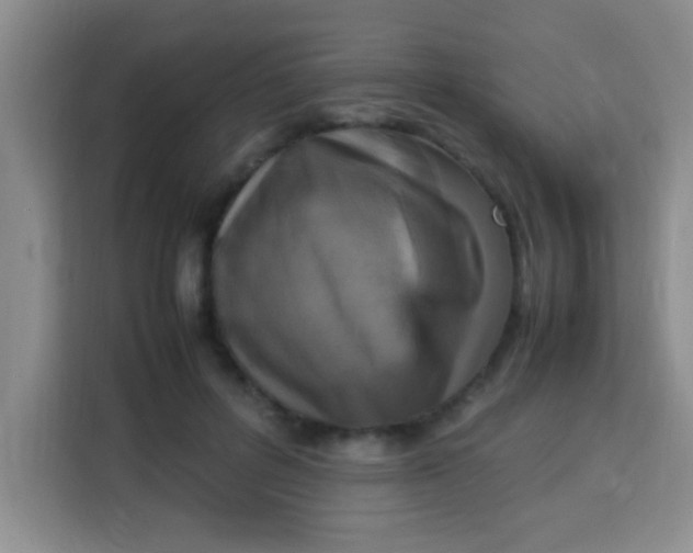 X0000113290600200910051102