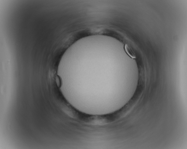 X0000113290601200910051102