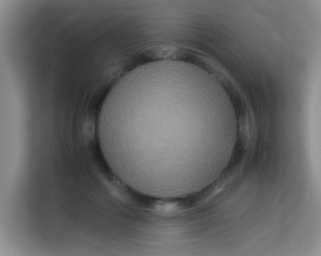 X0000113290602200910051102