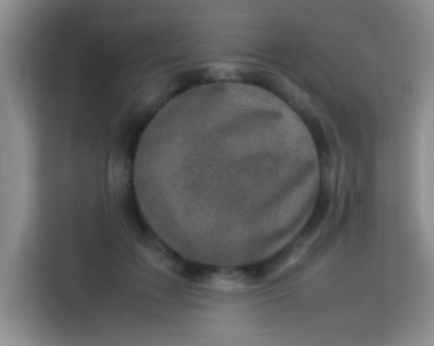 X0000113290603200910051102