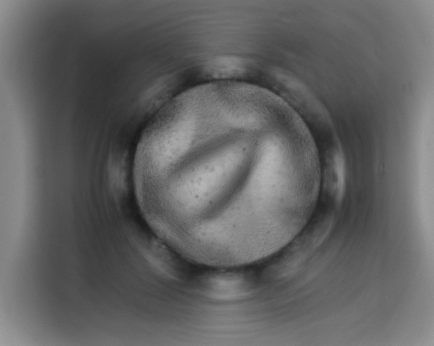 X0000113290604200910051102