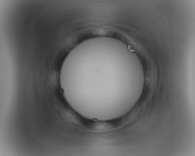 X0000113290605200910051102