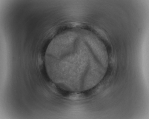 X0000113290607200910051102