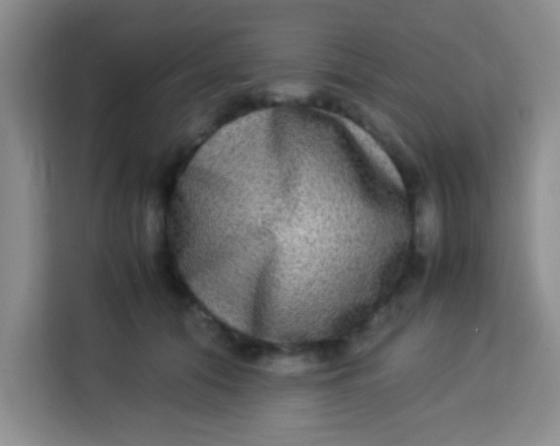 X0000113290608200910051102