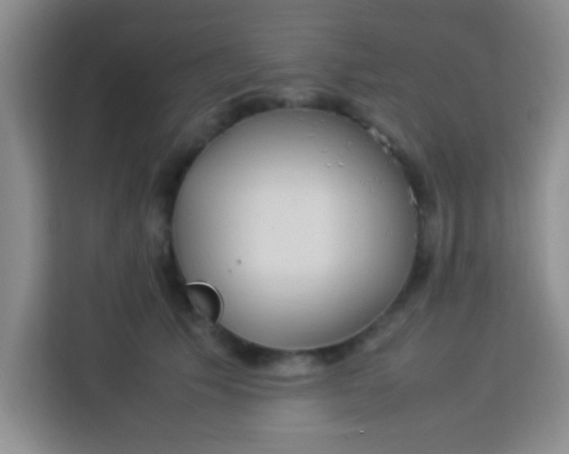 X0000113290609200910051102