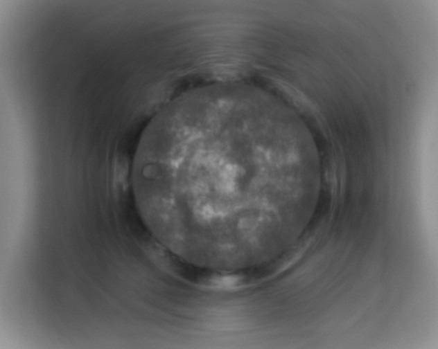 X0000113290610200910051102