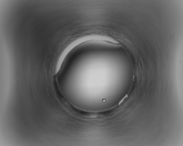 X0000113290611200910051102