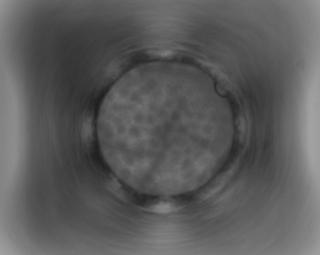 X0000113290612200910051102