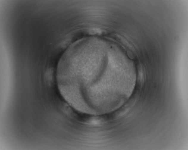 X0000113290616200910051102