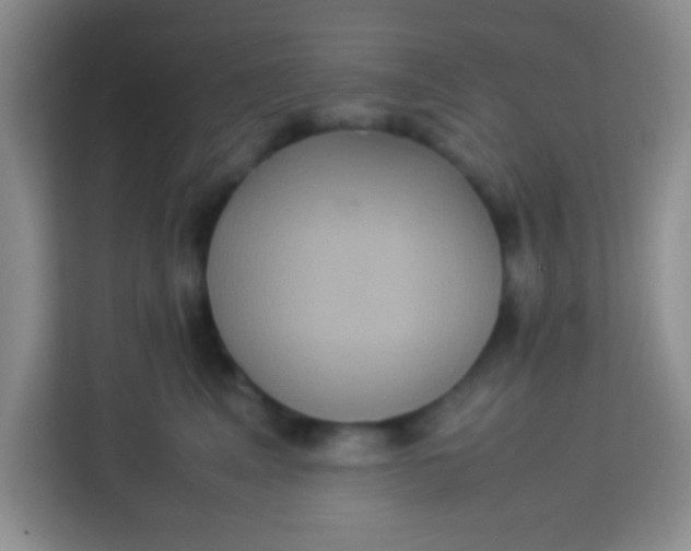 X0000113290617200910051102