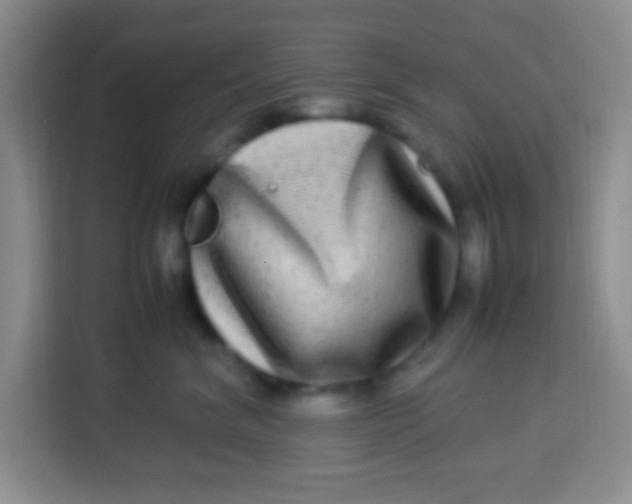 X0000113290620200910051102