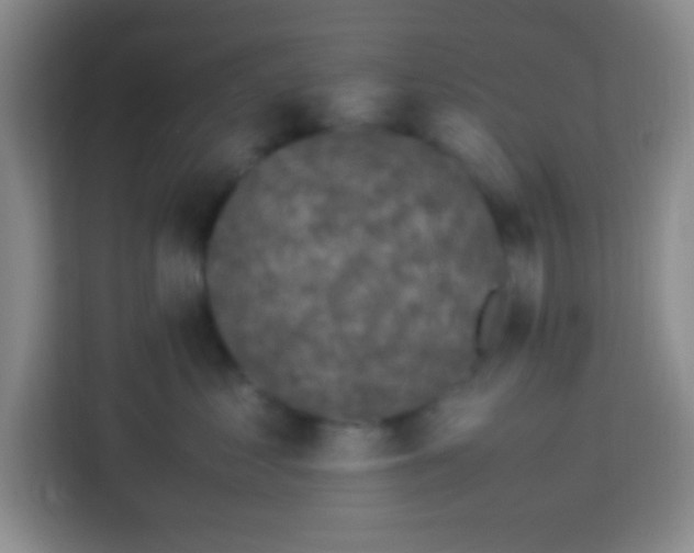 X0000113290621200910051102