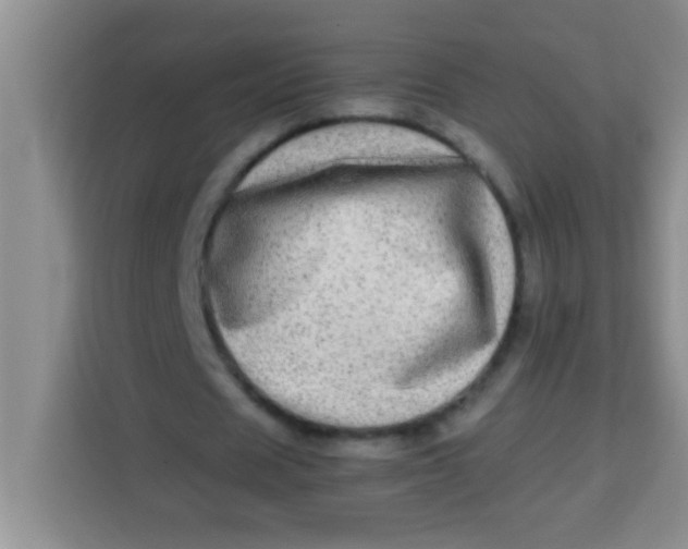 X0000113290625200910051101