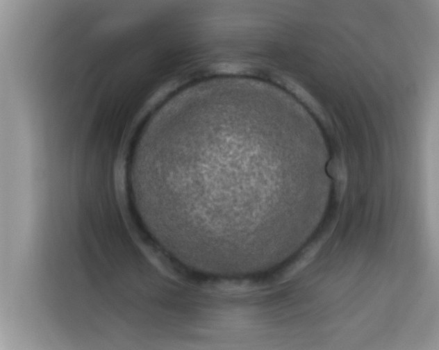 X0000113290626200910051101