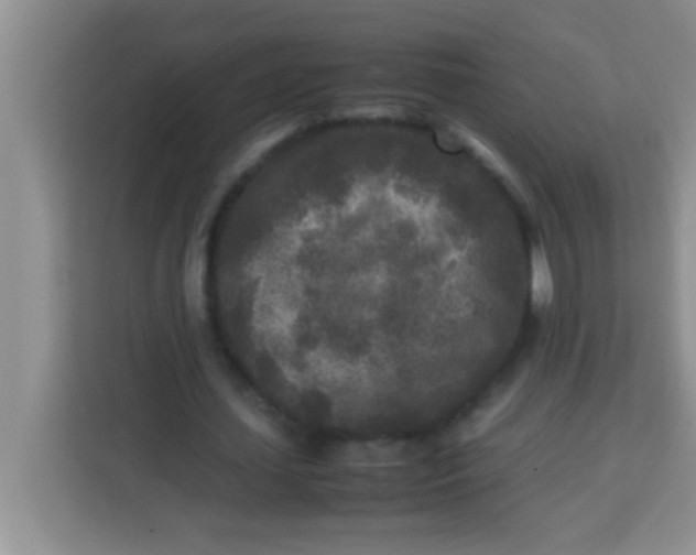 X0000113290627200910051101