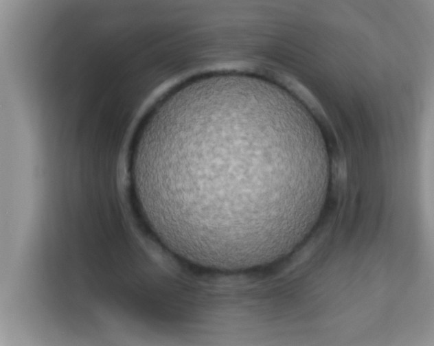 X0000113290628200910051101