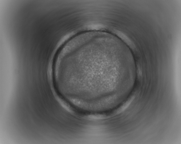 X0000113290630200910051101