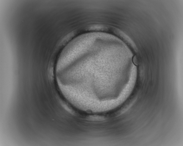 X0000113290633200910051101