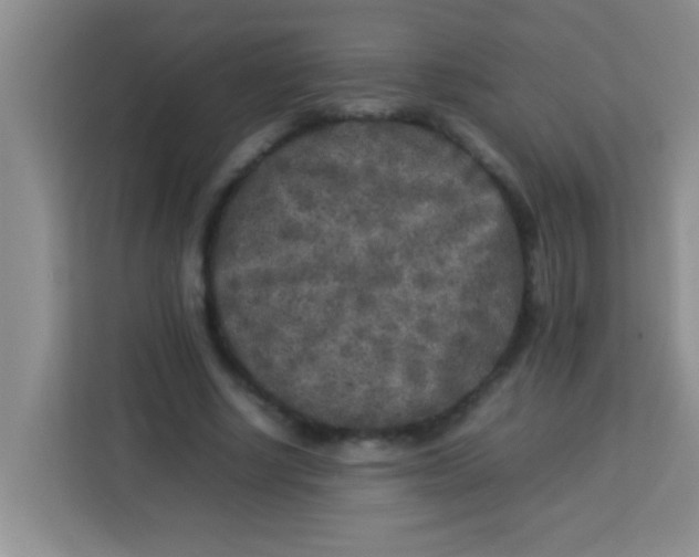 X0000113290634200910051101