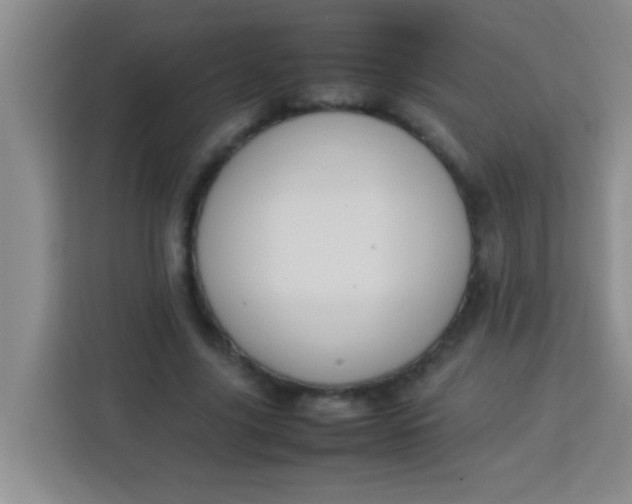 X0000113290635200910051101