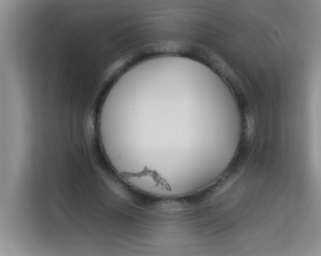 X0000113290636200910051101