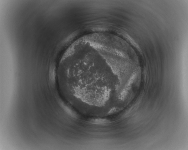 X0000113290637200910051101