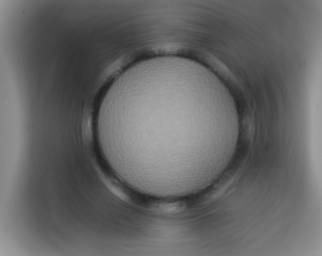 X0000113290638200910051101