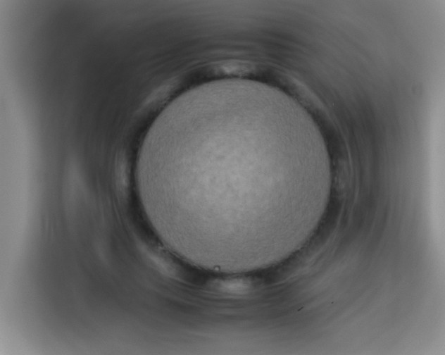 X0000113290639200910051101