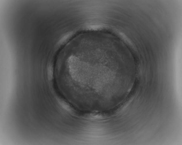 X0000113290640200910051101