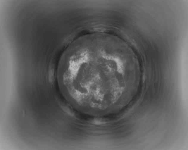 X0000113290641200910051101