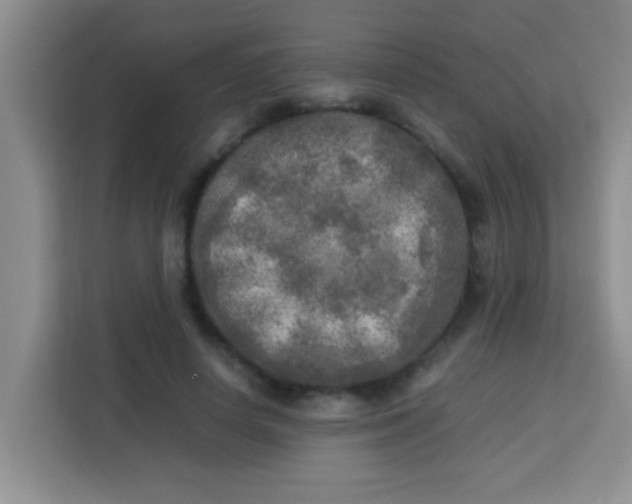 X0000113290642200910051101