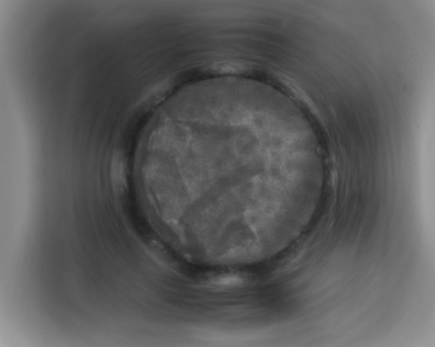 X0000113290643200910051101