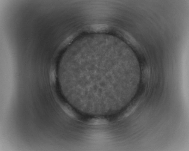 X0000113290644200910051101