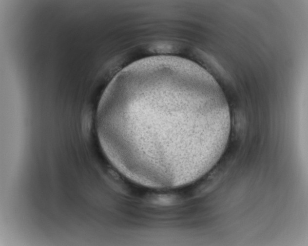 X0000113290645200910051101