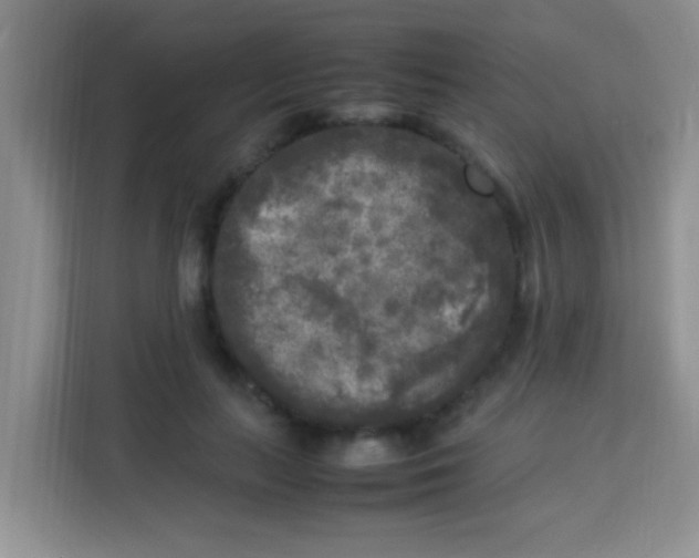 X0000113290647200910051101