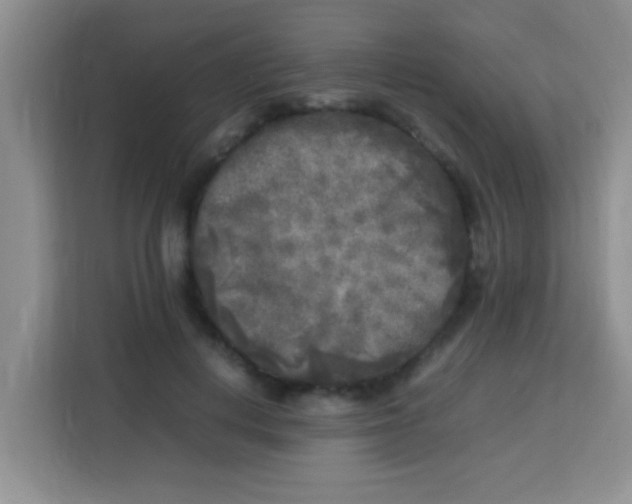 X0000113290648200910051101