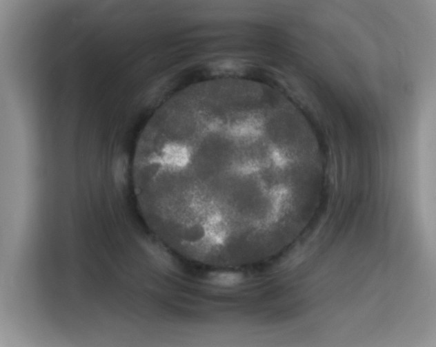 X0000113290649200910051101