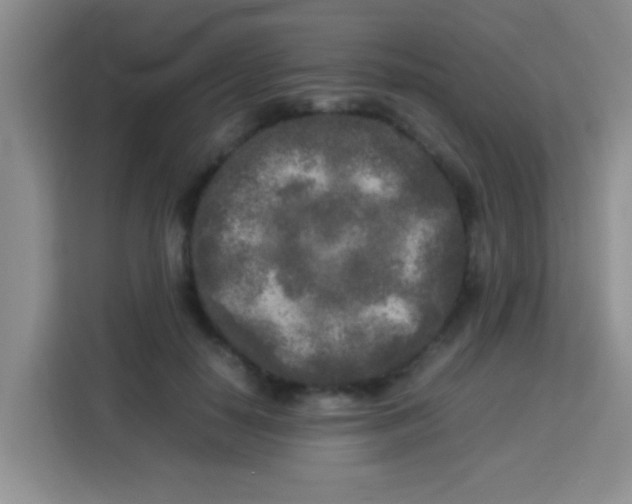 X0000113290650200910051101