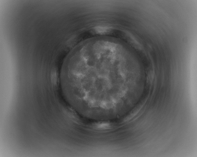 X0000113290651200910051101