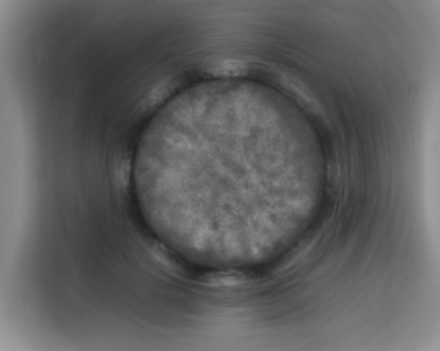 X0000113290652200910051101