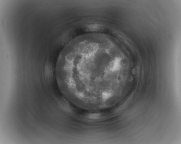 X0000113290653200910051101