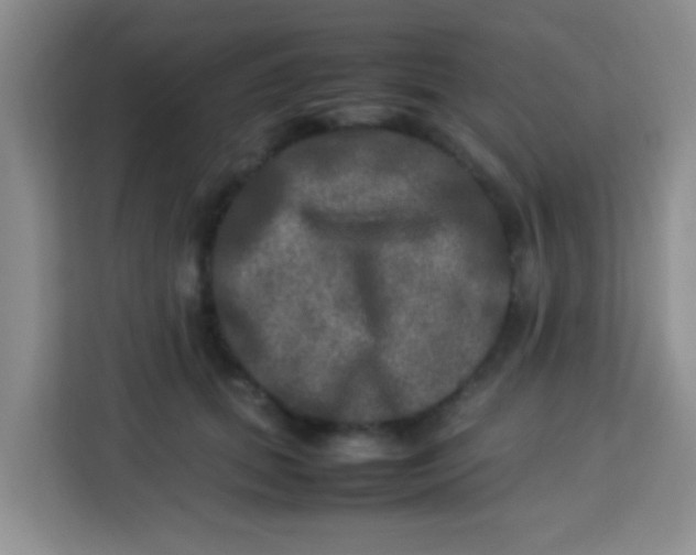 X0000113290655200910051101