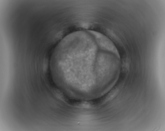 X0000113290656200910051101