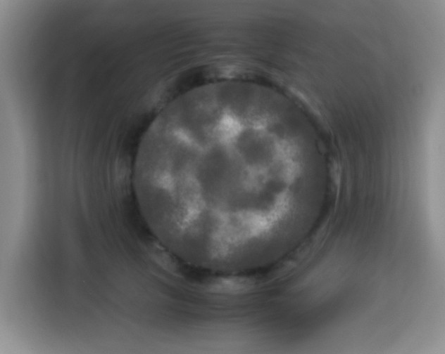 X0000113290657200910051101