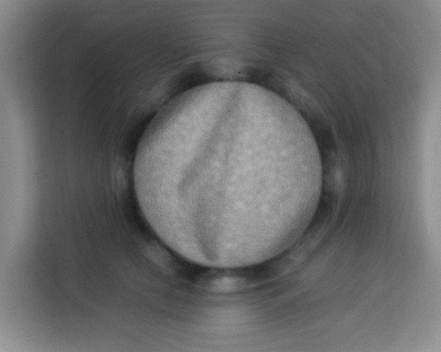 X0000113290658200910051102