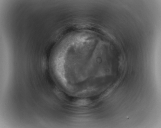 X0000113290659200910051102