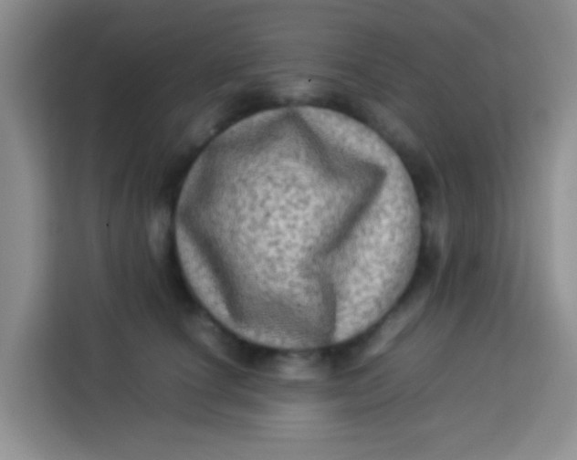 X0000113290660200910051102