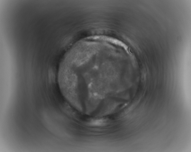 X0000113290661200910051102