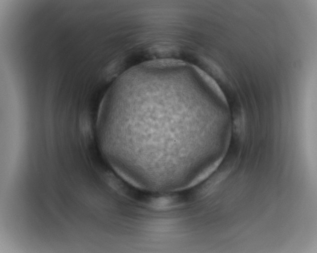 X0000113290662200910051102